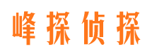 环县市婚姻调查